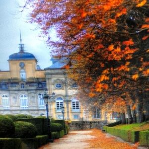 Meet your Posher, Francis